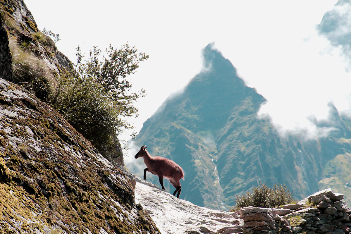 Everest Base Camp Trek in Spring